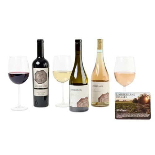 Wine Enthusiast Tote & Gourmet Gift Set