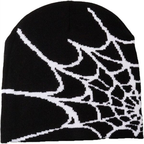 Knitted Beanie W/ Spider Web Design