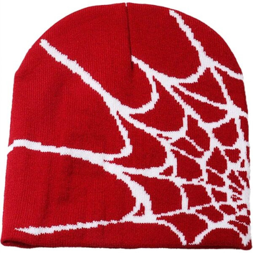 Knitted Beanie W/ Spider Web Design