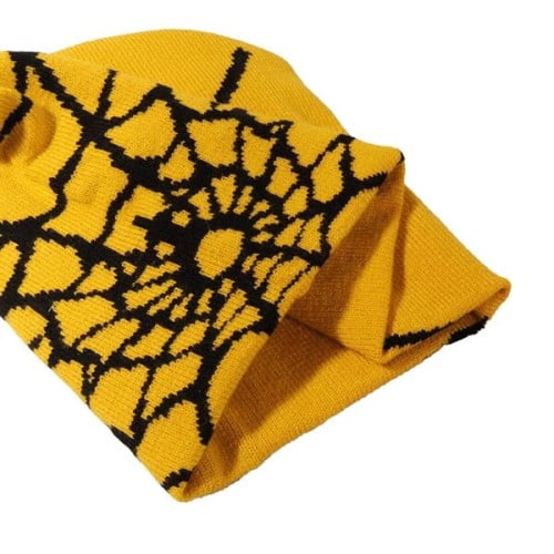 Knitted Beanie W/ Spider Web Design