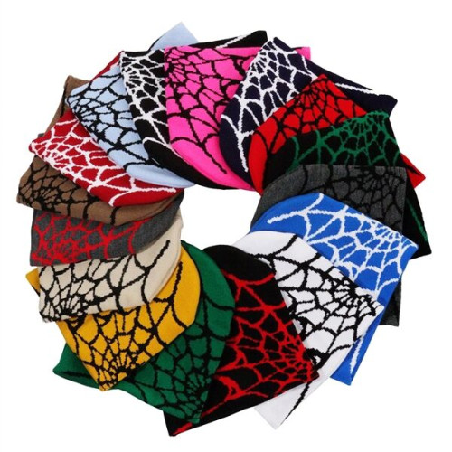 Knitted Beanie W/ Spider Web Design