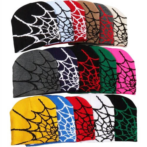 Knitted Beanie W/ Spider Web Design