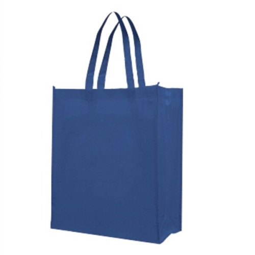 Attractive Laminate Patent Finish, Gusset Tote Bag (13x16x5)