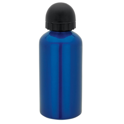 16.9 oz. Domed Flask