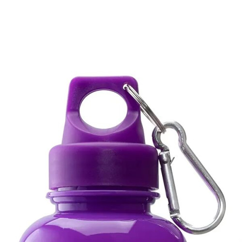 Brio 20 oz. PS Water Bottle w/ Carabiner