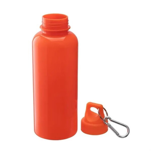 Brio 20 oz. PS Water Bottle w/ Carabiner