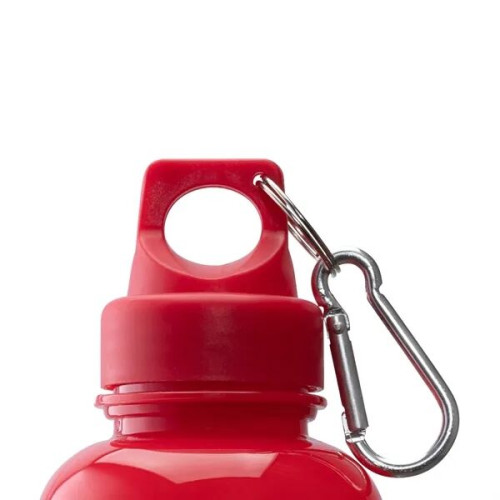 Brio 20 oz. PS Water Bottle w/ Carabiner