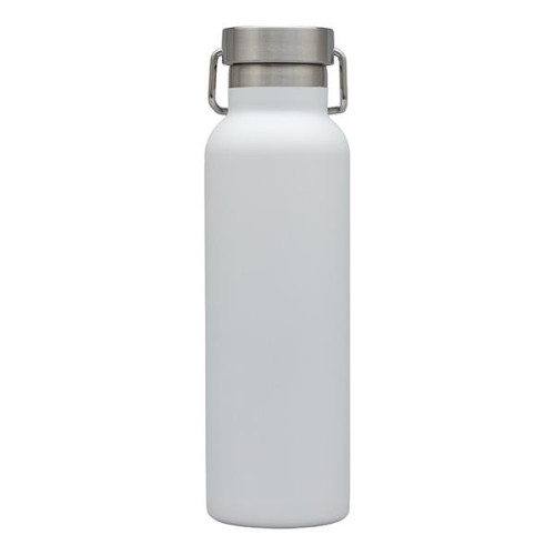 Splendid 22 oz. Double Wall Stainless Steel Bottle