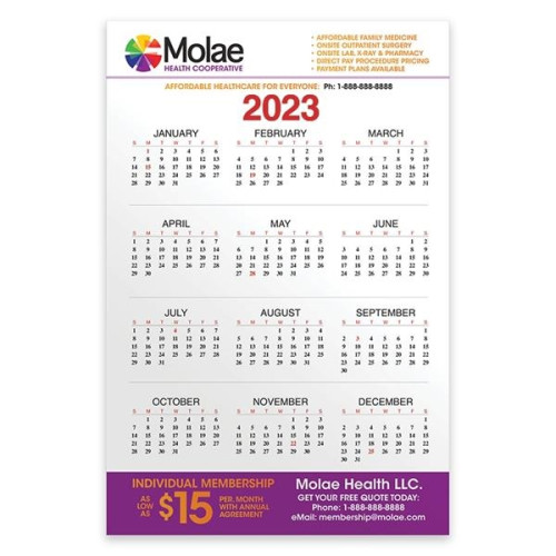 PaperSplash(SM) 11" x 17" Wall Calendar