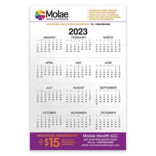 PaperSplash(SM) 11" x 17" Wall Calendar