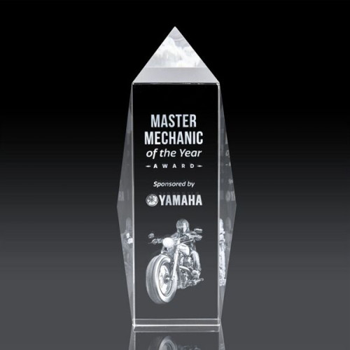 Bloomington Award 3D