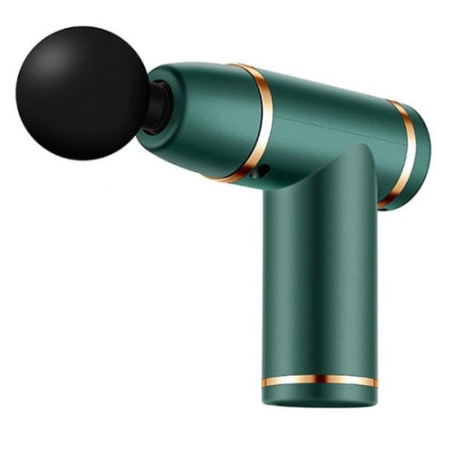 6 Speeds 4 Heads Massage Facial Gun