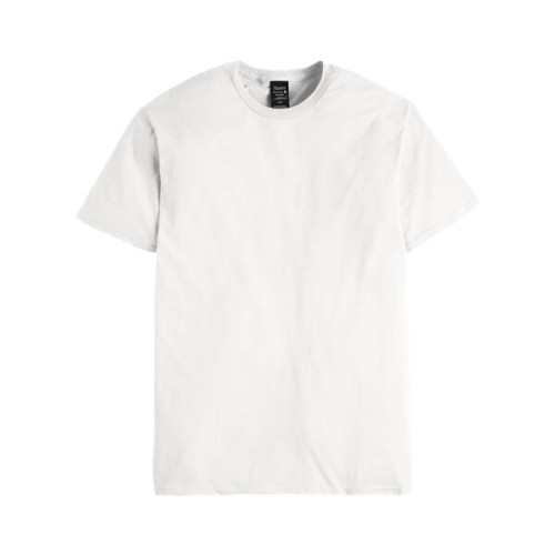 Hanes Unisex Perfect-T DTG T-Shirt