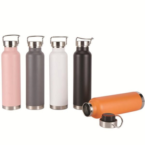 22 oz Double Wall Stainless Bottle