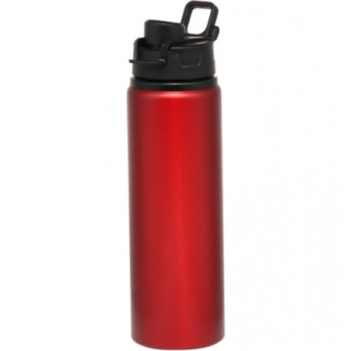 25 oz. Aluminum Metallic Sports Bottle With Snap Lids