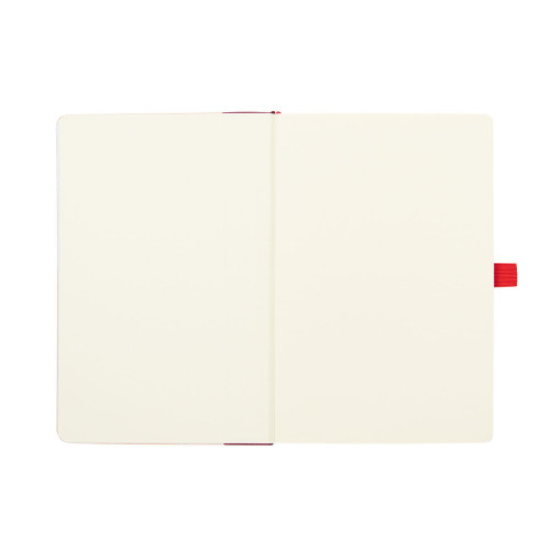 Bamboo RPET Journal