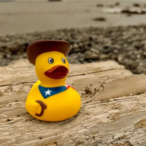 Cowboy duck