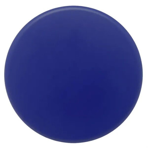 Hockey Puck Stress Reliever