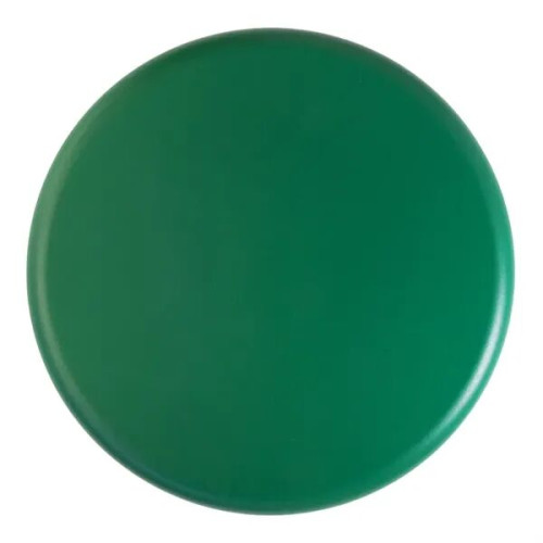 Hockey Puck Stress Reliever