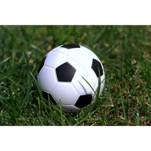 Soccer Ball Stress Reliever