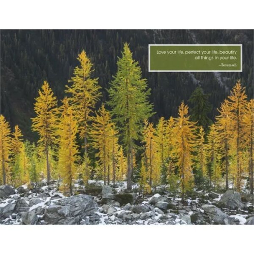 Good Value™ Inspirations for Life - Stapled Calendar