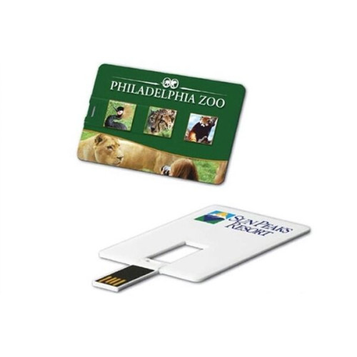 Credit Card USB Drive