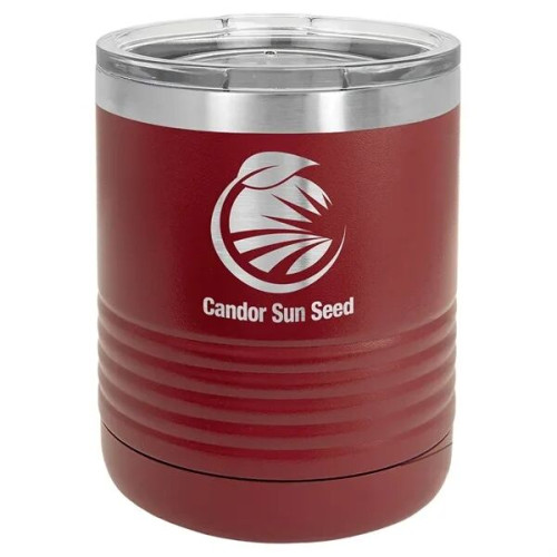 10oz Polar Camel® Stainless Steel Insulated Ringneck Tumbler