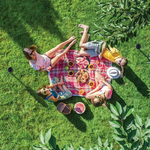 iLive™ Indoor and Outdoor Bluetooth Solar Speakers