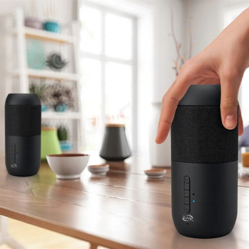 iLive™ Indoor and Outdoor Bluetooth Solar Speakers