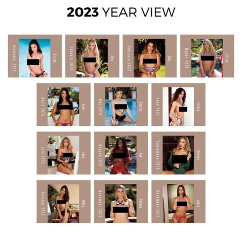 Triumph® Calendars Press-N-Stick Dream Girls Calendar