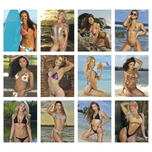 Triumph® Calendars Press-N-Stick Full-Color Header Sunshi...