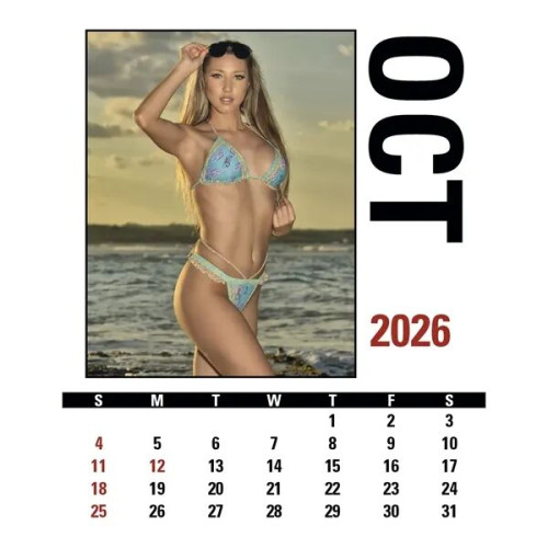 Triumph® Calendars Press-N-Stick Full-Color Header Sunshi...