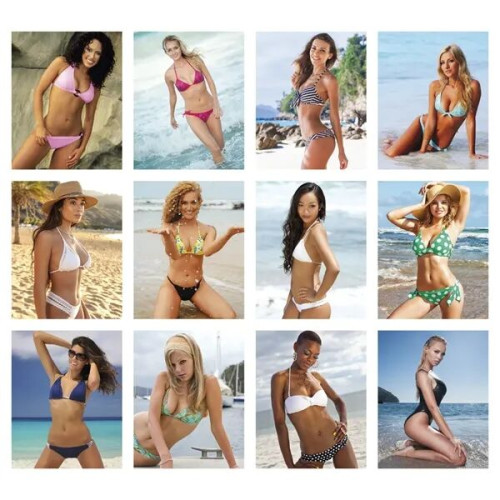 Triumph® Calendars Press-N-Stick Full-Color Header Sunshi...