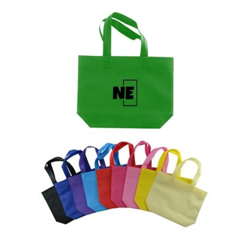 Non-Woven Shopping Bag