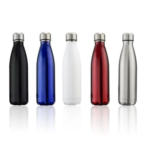 17oz Stainless Steel Insulated Bottle