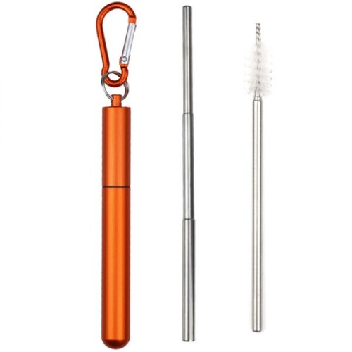Reusable Stainless Steel Straw