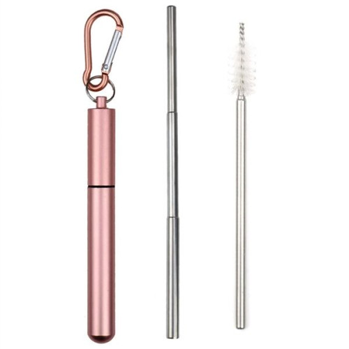 Reusable Stainless Steel Straw