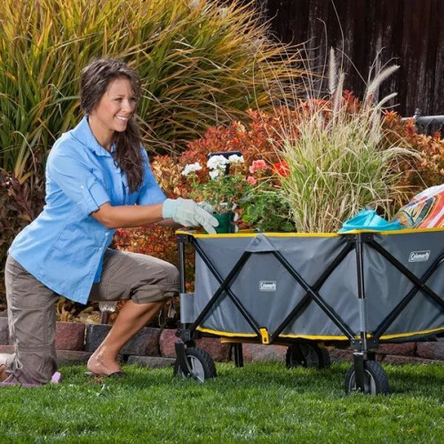 Coleman® Camp Wagon