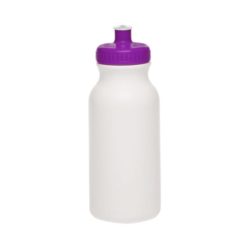 20 oz. Water Bottle BPA Free