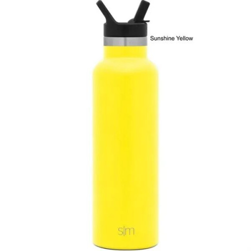 20 oz Simple Modern® Stainless Insulated Ascent Water Bottle