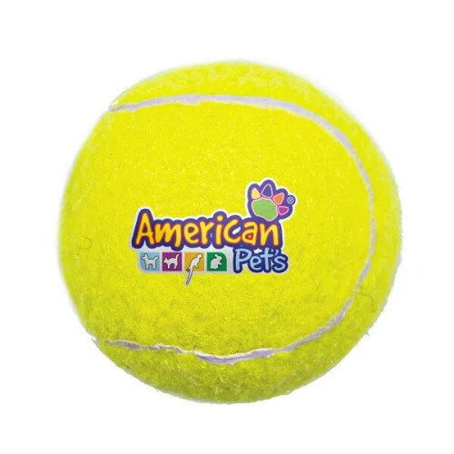 Pet Fetch Toy Tennis Ball
