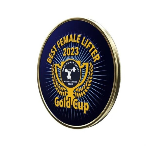 Round Lapel Pins (Express)