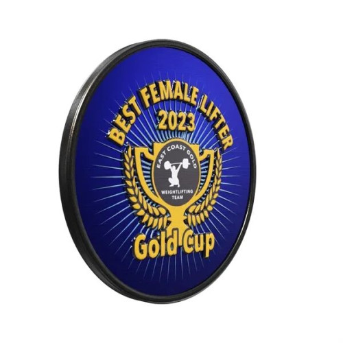 Round Lapel Pins (Express)