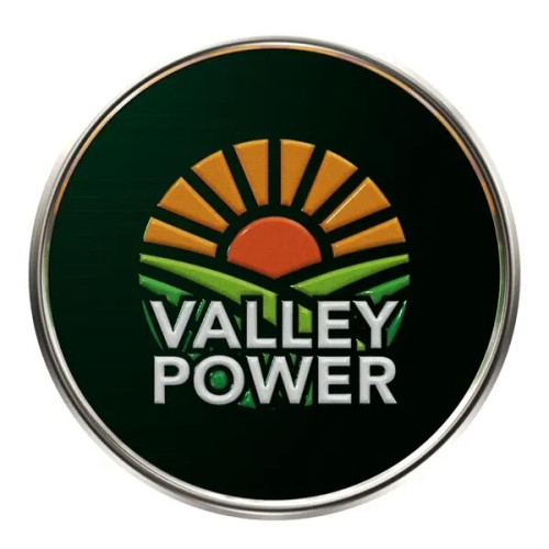 Round Lapel Pins (Express)