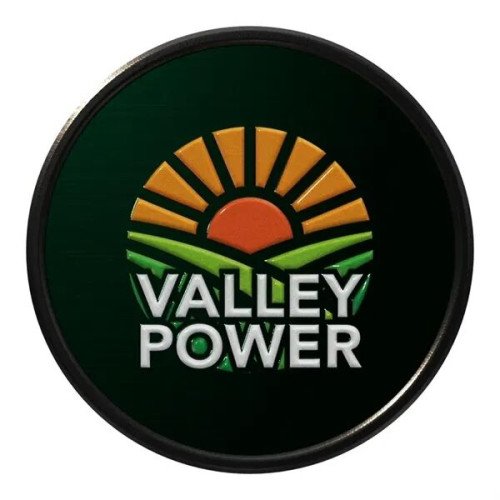 Round Lapel Pins (Express)