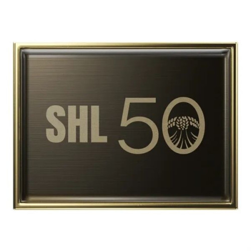 Rectangle Lapel Pins (Express)