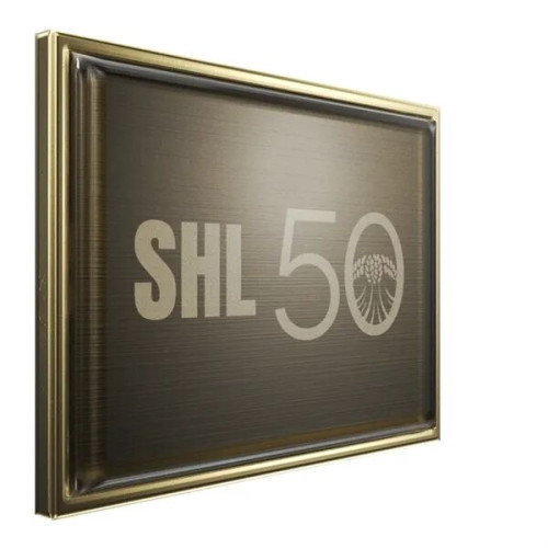 Rectangle Lapel Pins (Express)