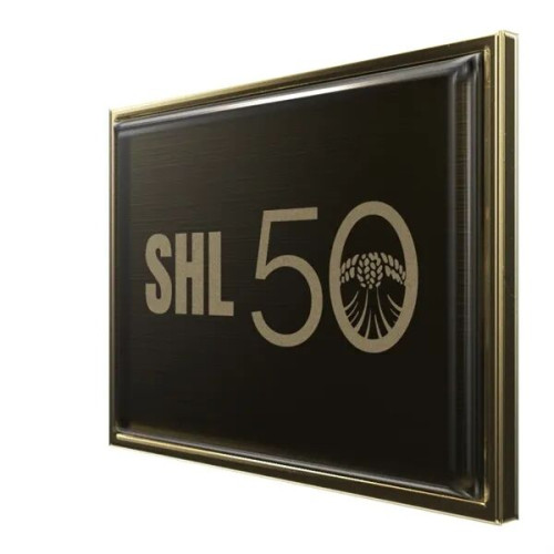 Rectangle Lapel Pins (Express)