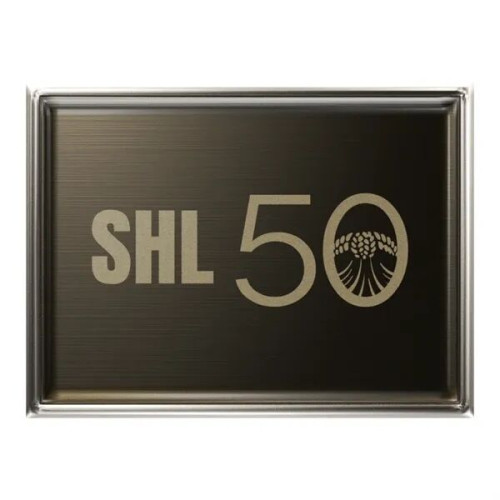 Rectangle Lapel Pins (Express)