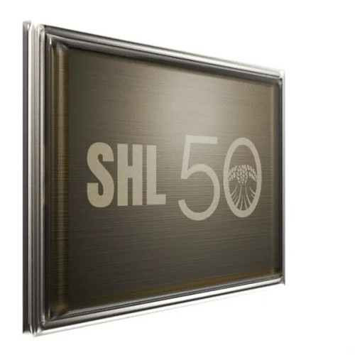 Rectangle Lapel Pins (Express)